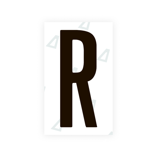 Nanofilm Ecoslick™ for US (Ohio 2021) license plates - Symbol "R" luxsuede