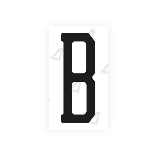 Nanofilm Ecoslick™ for US (Florida) license plates - Symbol "B" luxsuede